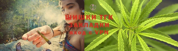 винт Верея