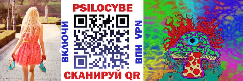 блэк спрут tor Семёнов Псилоцибиновые грибы Psilocybe