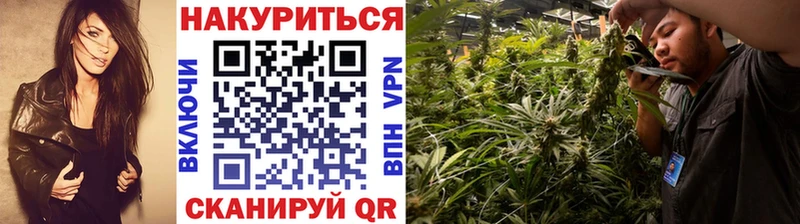 Бошки марихуана индика  Семёнов 